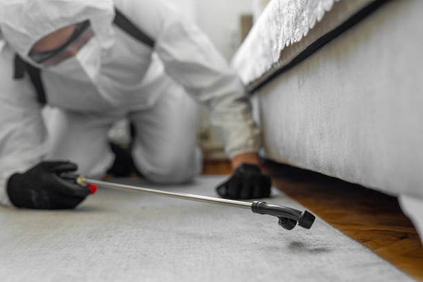 Professional Cockroach Control technician working in Woodmont, CT