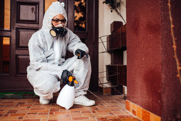 Reliable Cockroach Control contractor in Woodmont, CT by Nex Pest Control